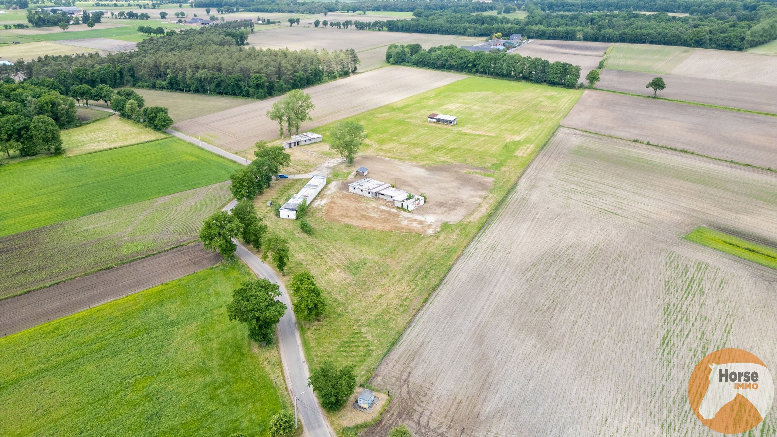 BOCHOLT - Weide met stalgebouwen op +/- 4ha35a foto 4