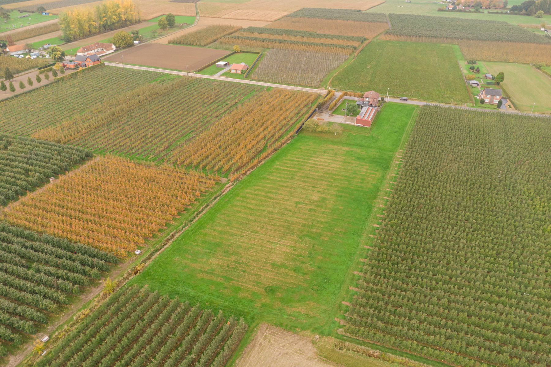 Huis te koop foto 40