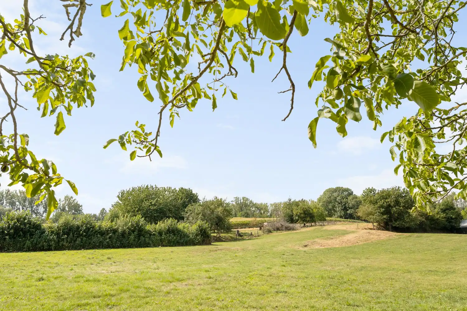 UNIEKE LANDELIJKE EIGENDOM MET WONING, STALLEN EN 15.380 M² GROND – EEN OASE VAN RUST EN RUIMTE IN PAJOTTEGEM foto 2
