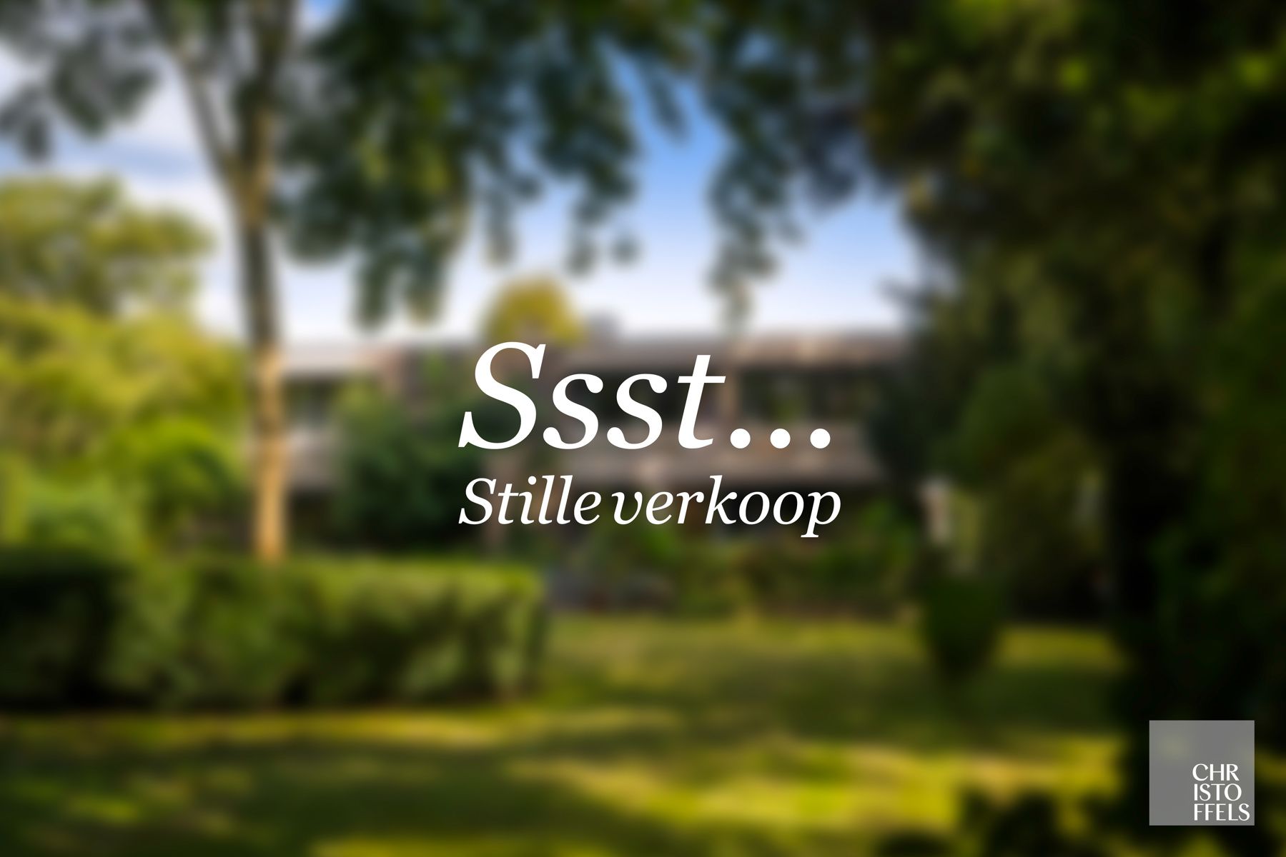 ()=>{if(producerUpdateValueVersion(node),producerAccessed(node),node.value===ERRORED)throw node.error;return node.value} 3680 Maaseik Opoeteren