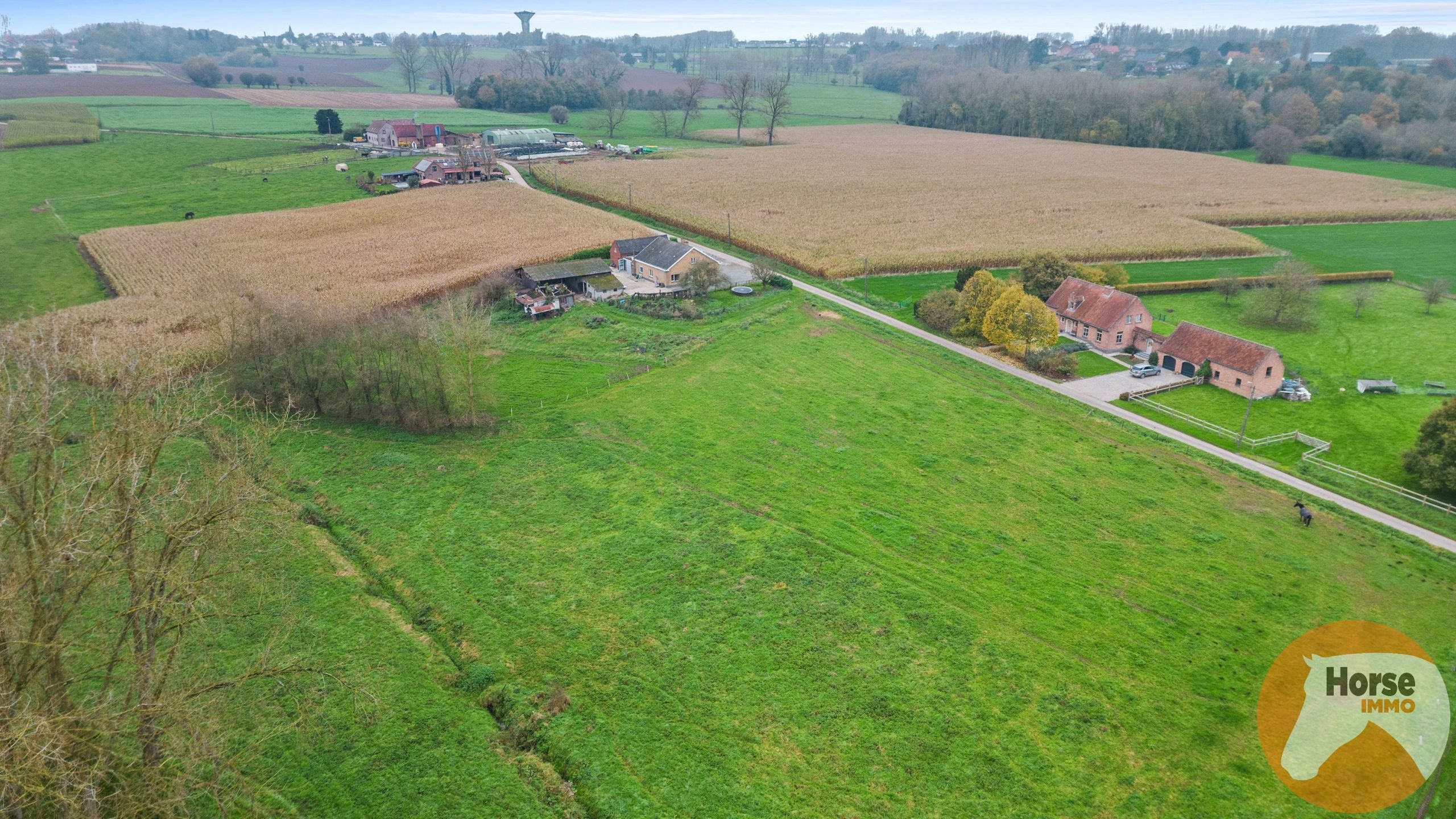 HERZELE - Uniek gelegen woning op +/-2HA foto 30