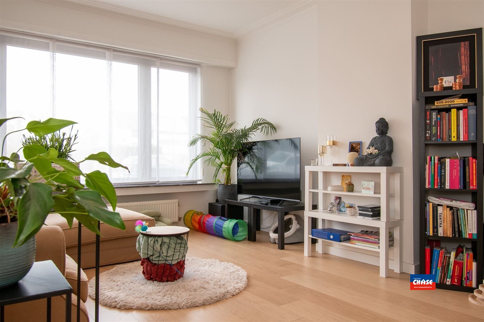Gelijkvloersappartement met 1 slpk + tuin foto 4