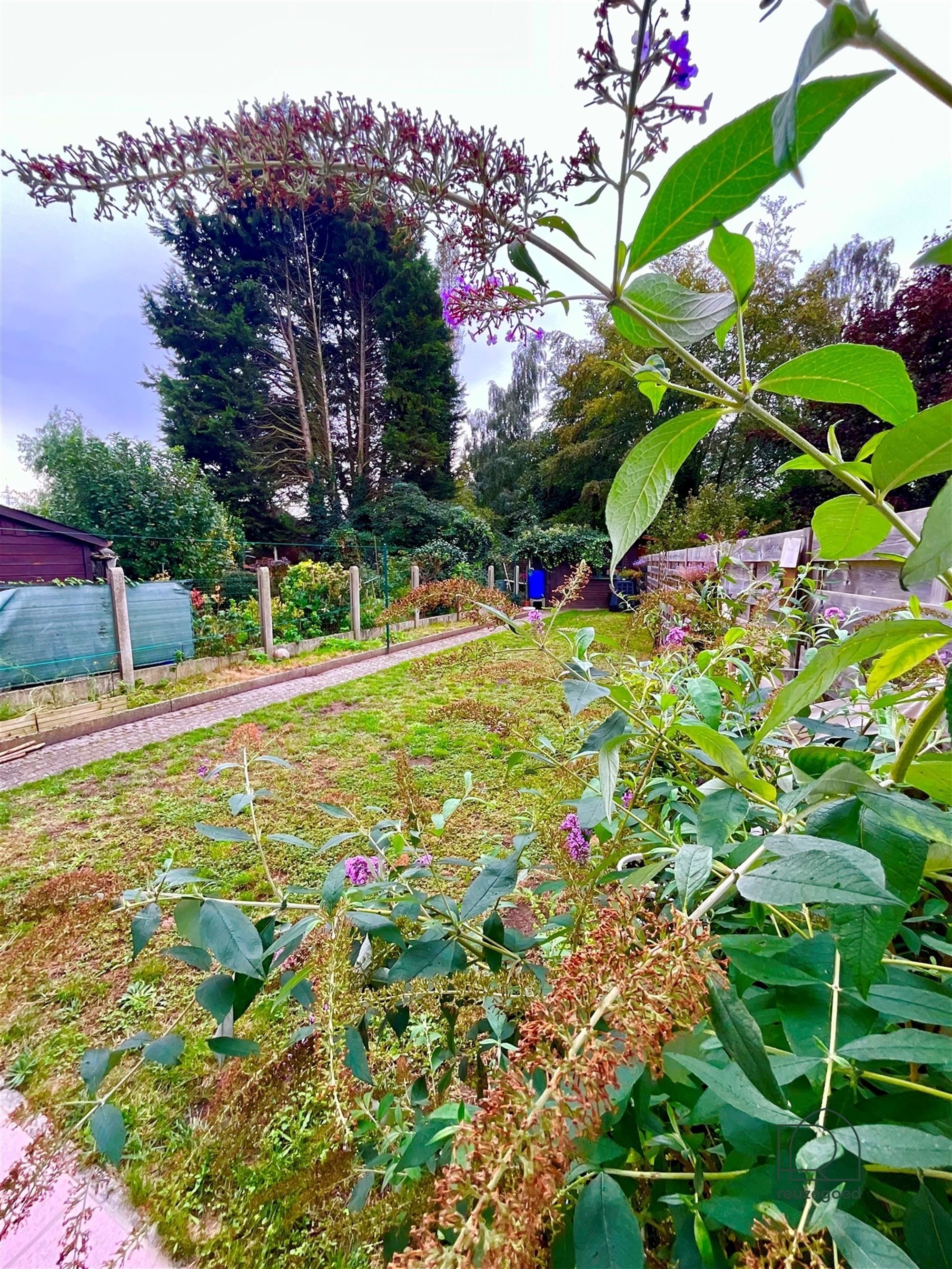 Gelijkvloers appartement met één slaapkamer en een leuke tuin op het zuidwesten, gelegen in Mechelen! foto 14