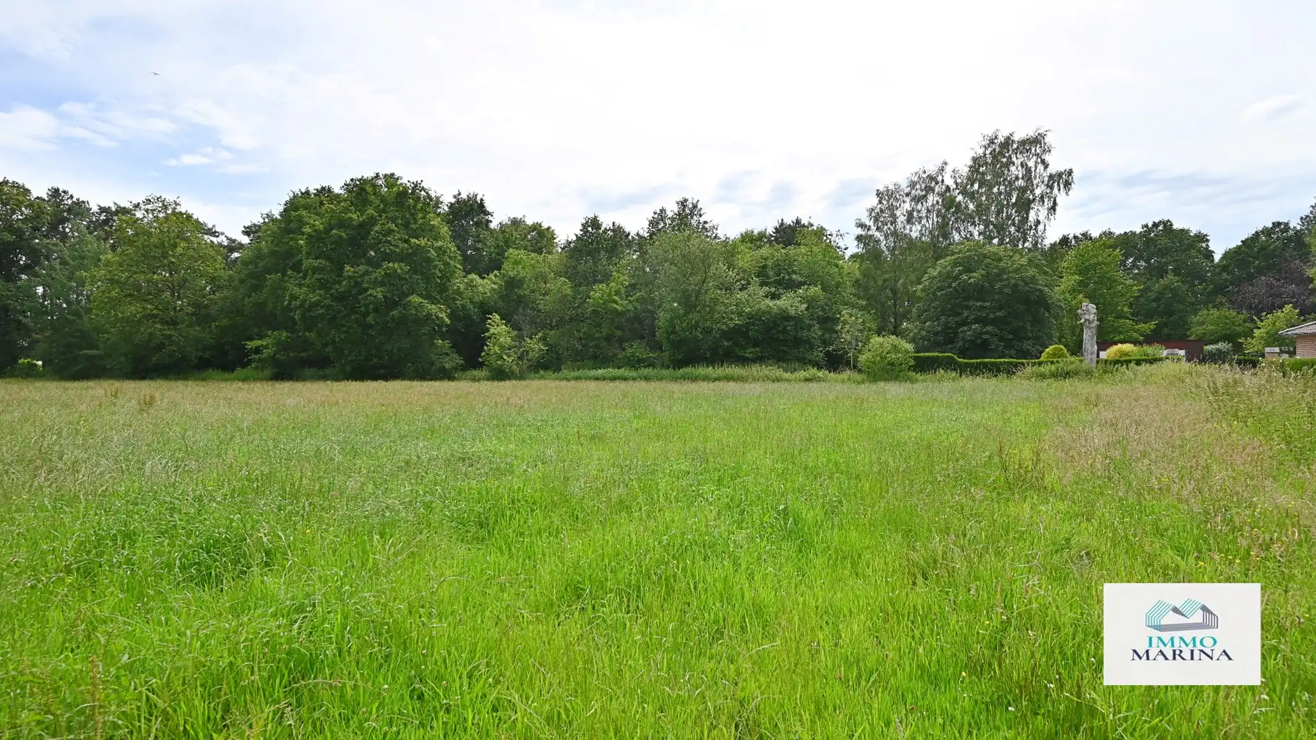 Landbouwgrond / paardenweide te koop te Baal foto 8