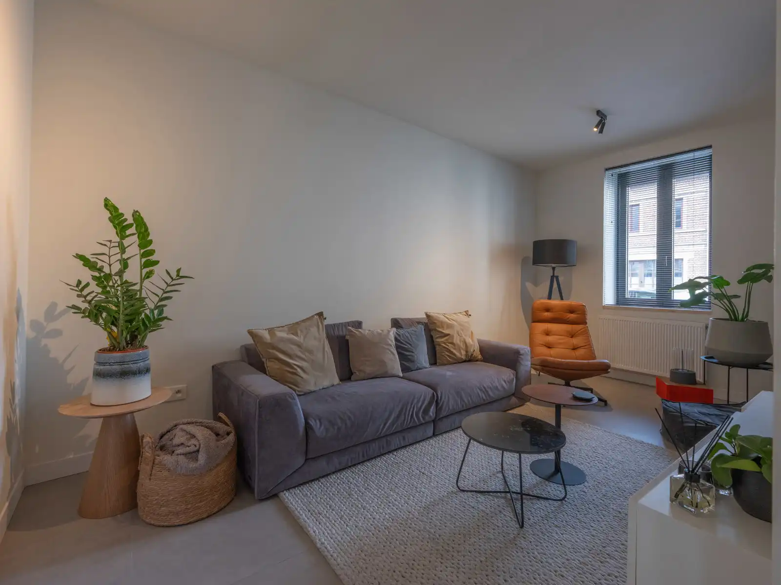 Huis te koop foto 5