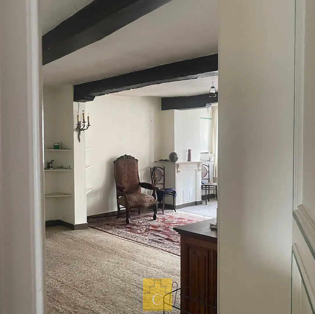 exclusieve herenwoning in de pittoreske St. Annawijk met grote zongerichte stadstuin en brede uitweg/fietsenpoort foto 24