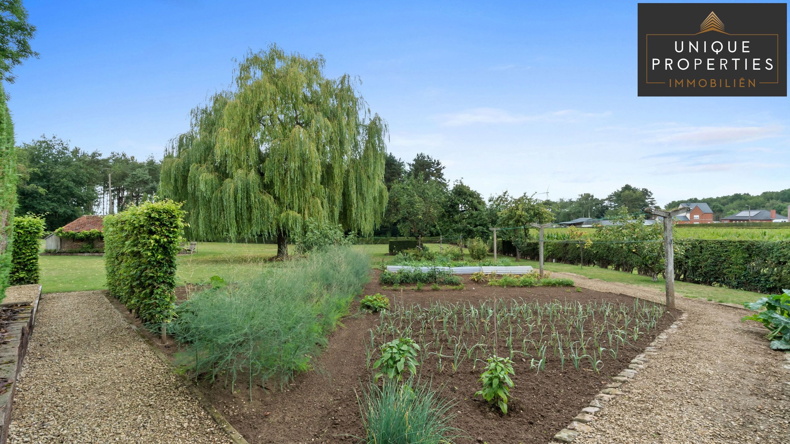 Huis te koop foto 37