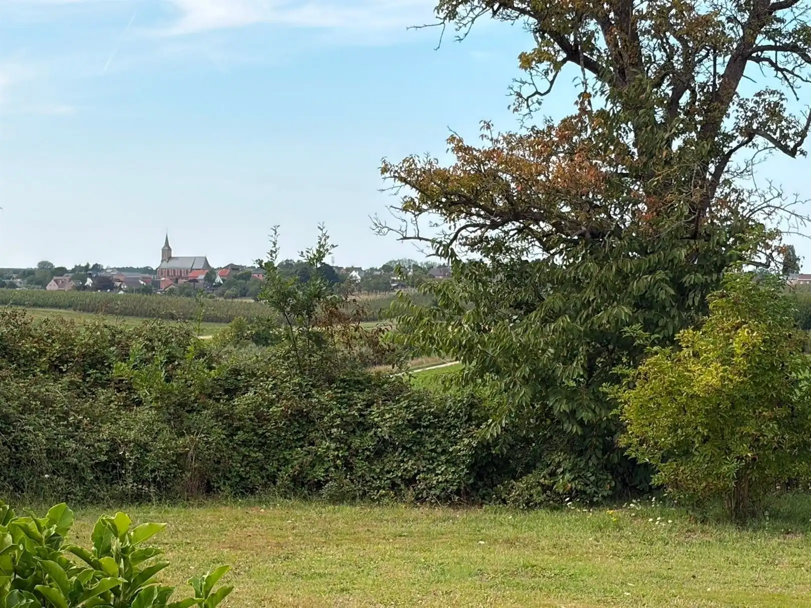 Karaktervolle hoeve met eindeloze mogelijkheden in het groen. foto 28