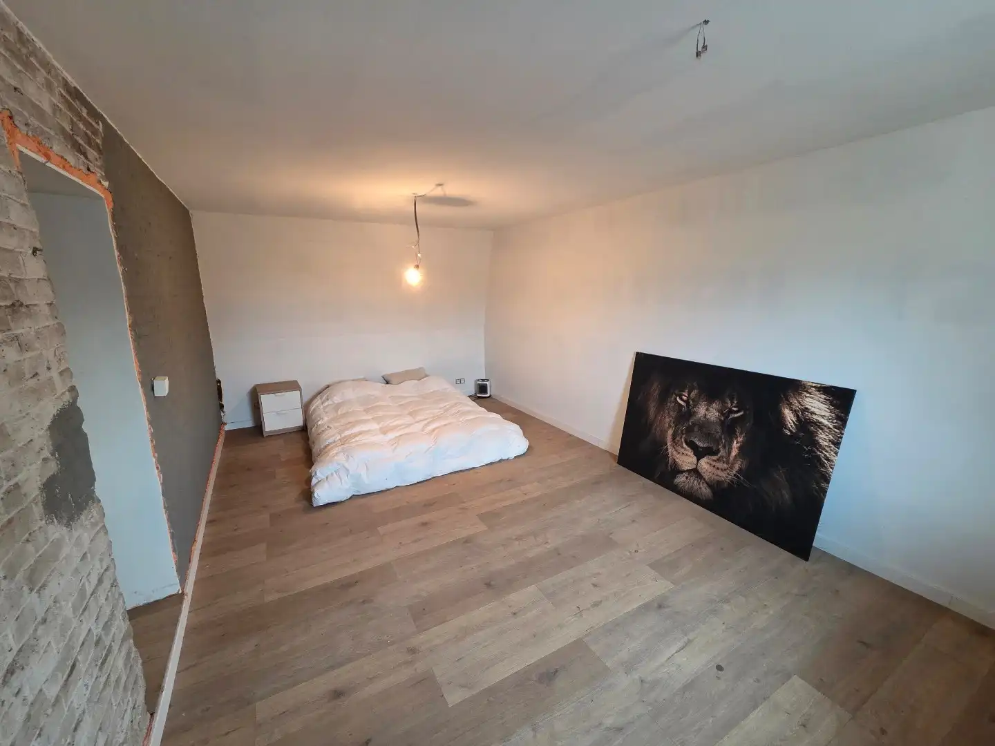 Verder af te werken woning op 890m²!! foto 5