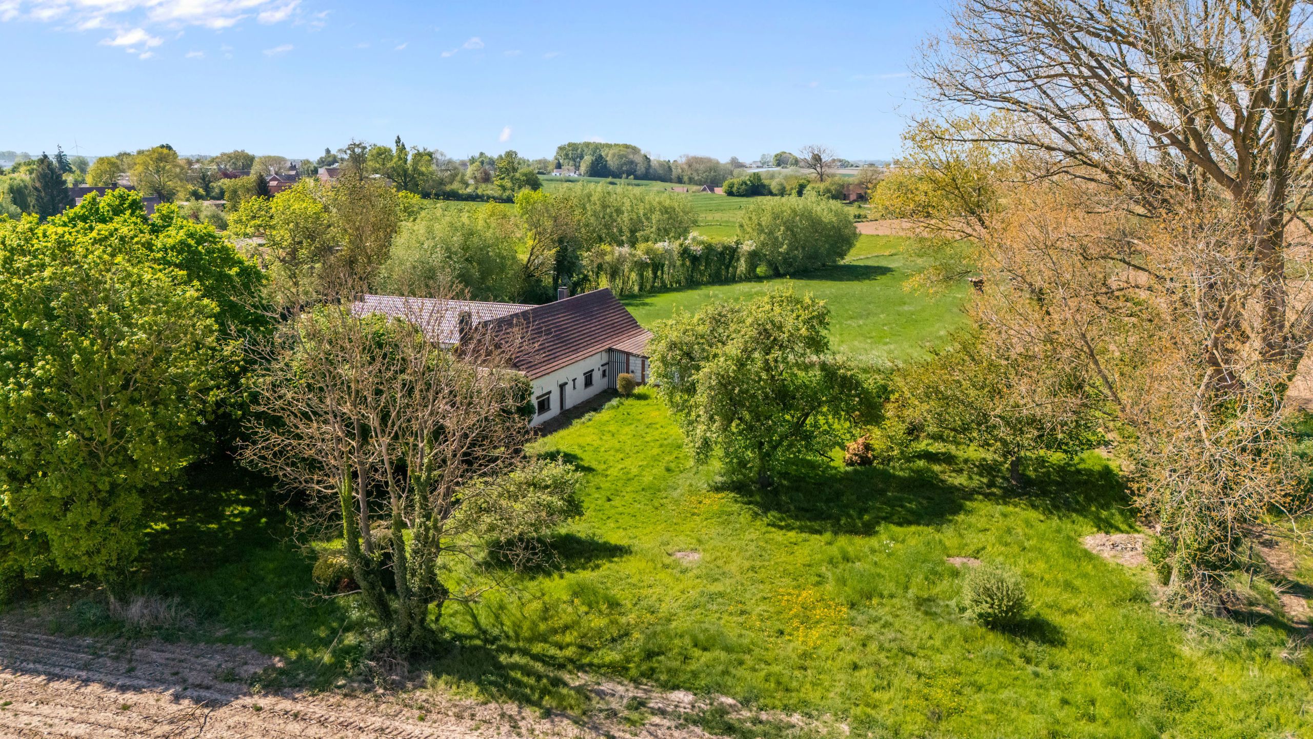 Hoofdfoto van de publicatie: charmante hoeve met mooi zicht op +40a