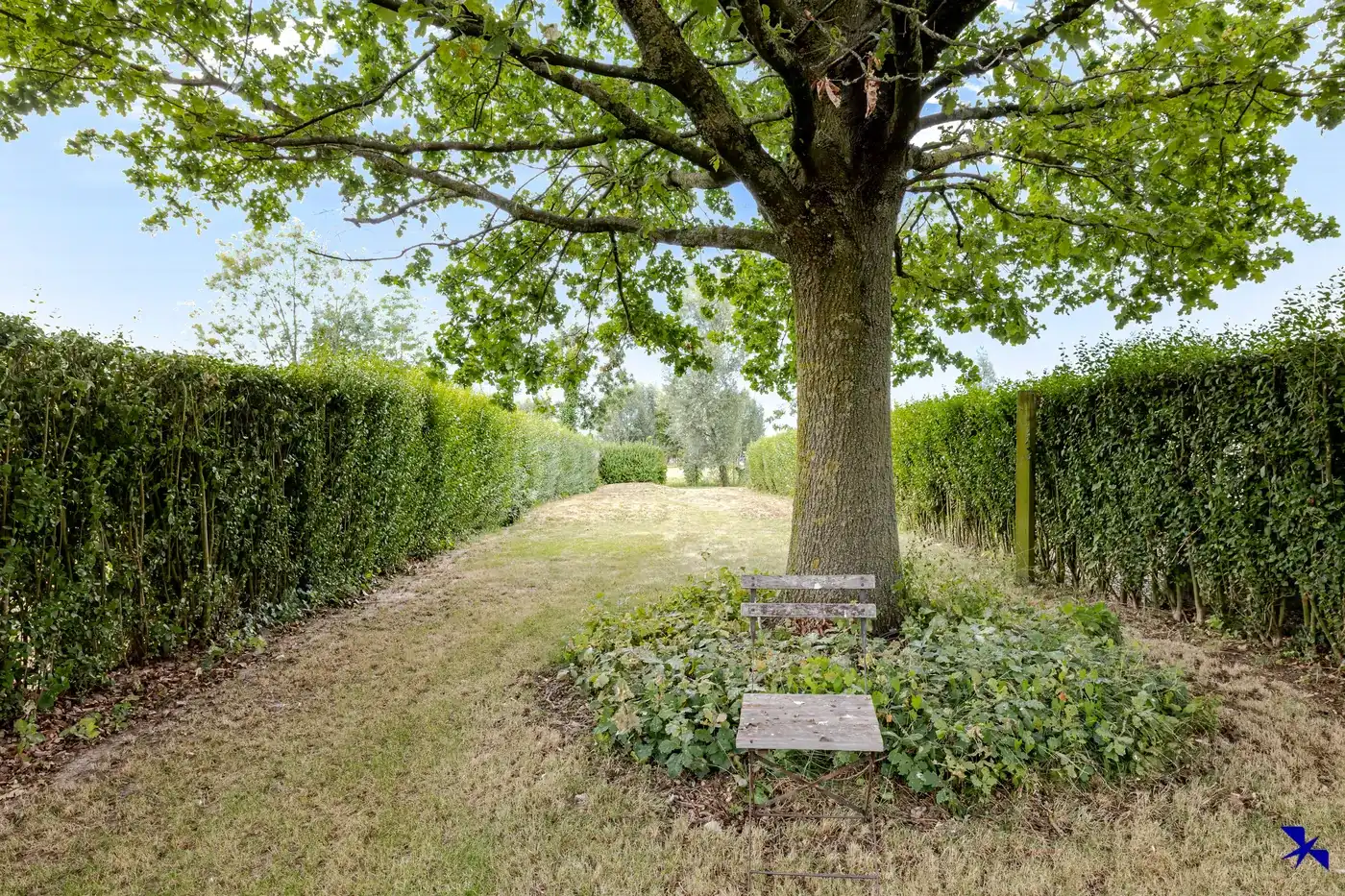 Stijlvol gerenoveerde woning op groenligging foto 3