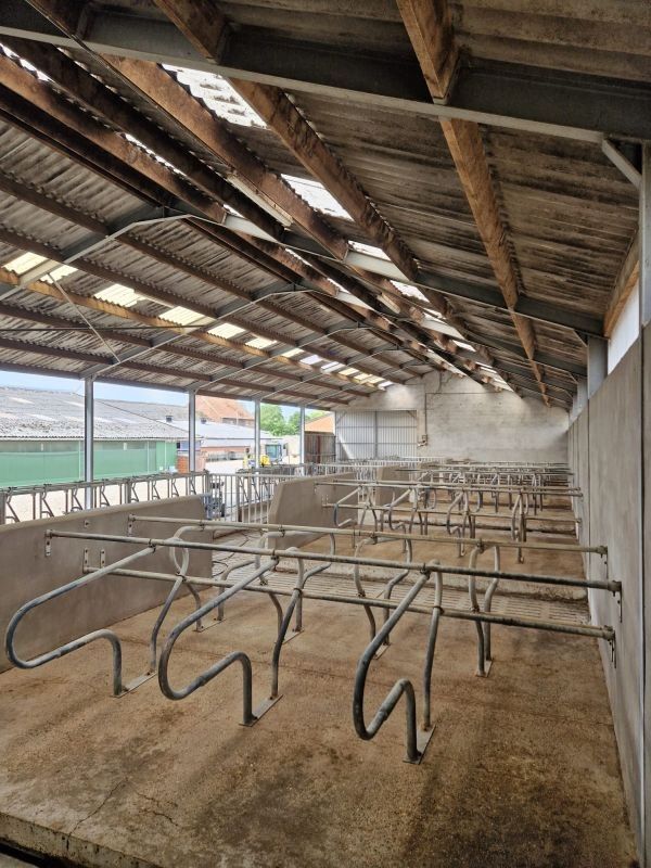 Hoeve met gronden te koop te Kinrooi foto 10