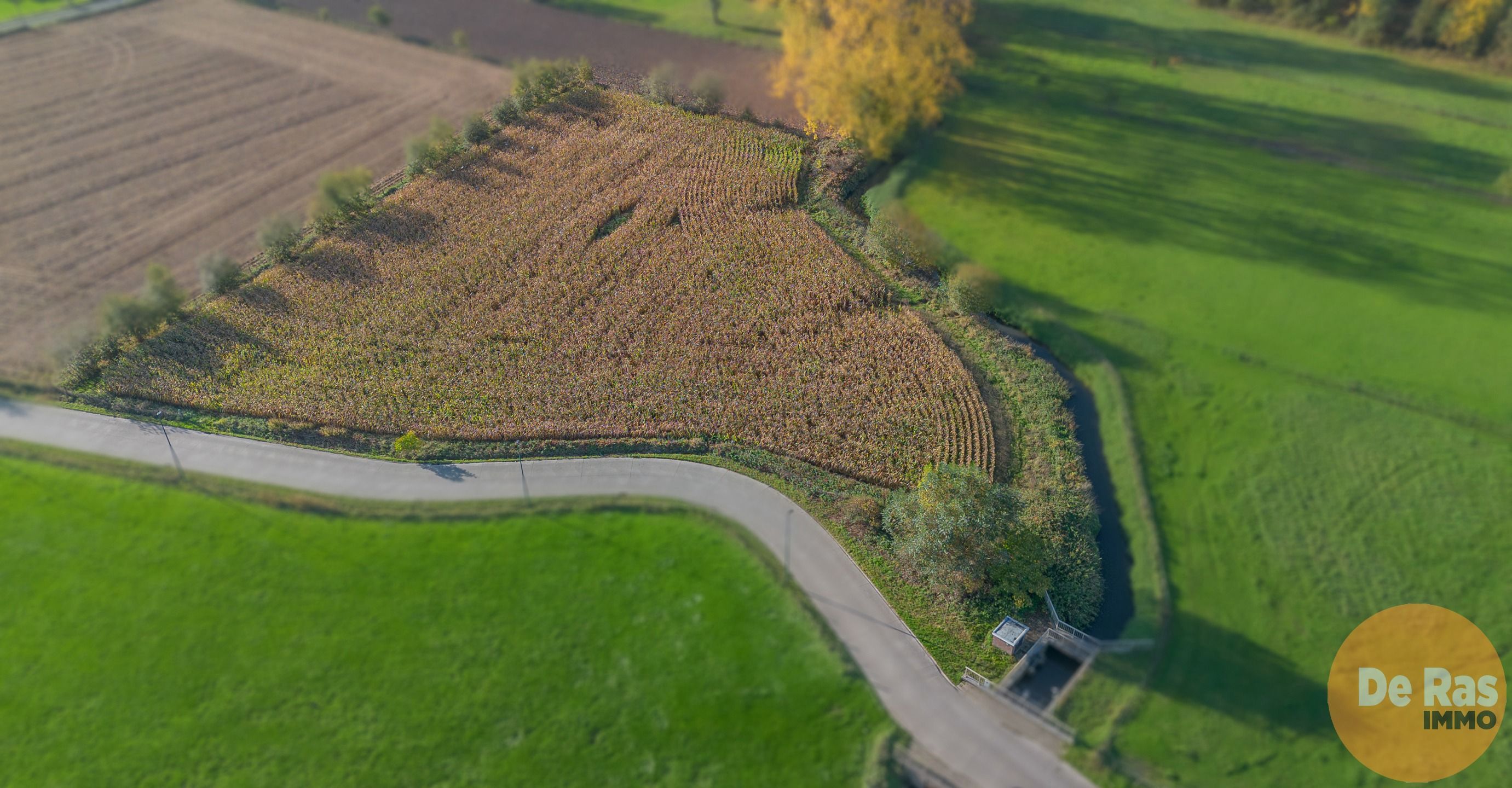 AALST - Landbouwgrond/weide 81a foto {{pictureIndex}}