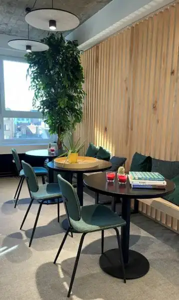 Louizalaan 251, 1050 Elsene foto 4