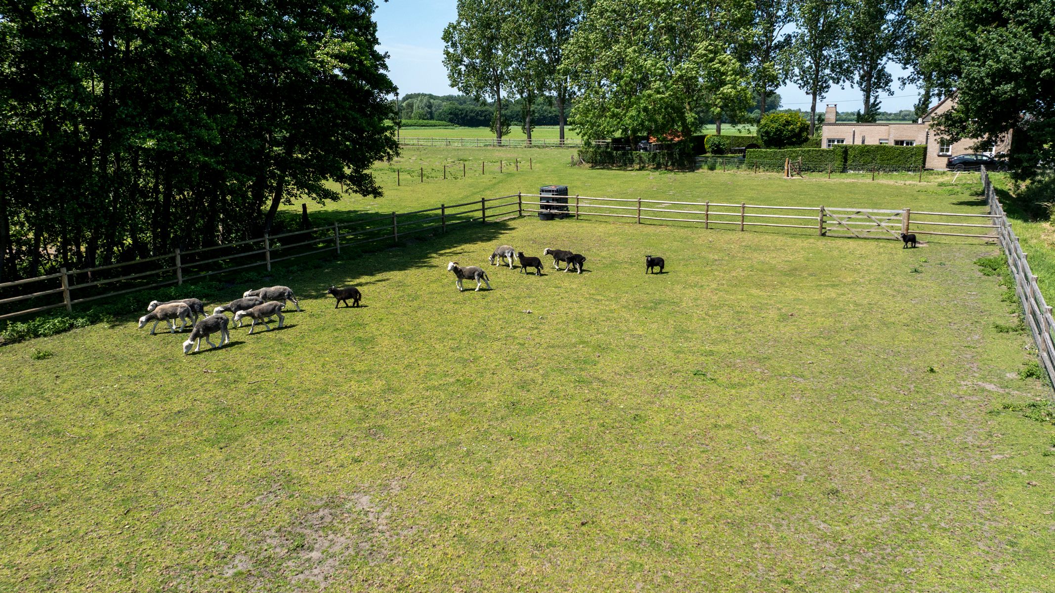 Woning met 3 slaapkamers en 7000m² weide! foto 27