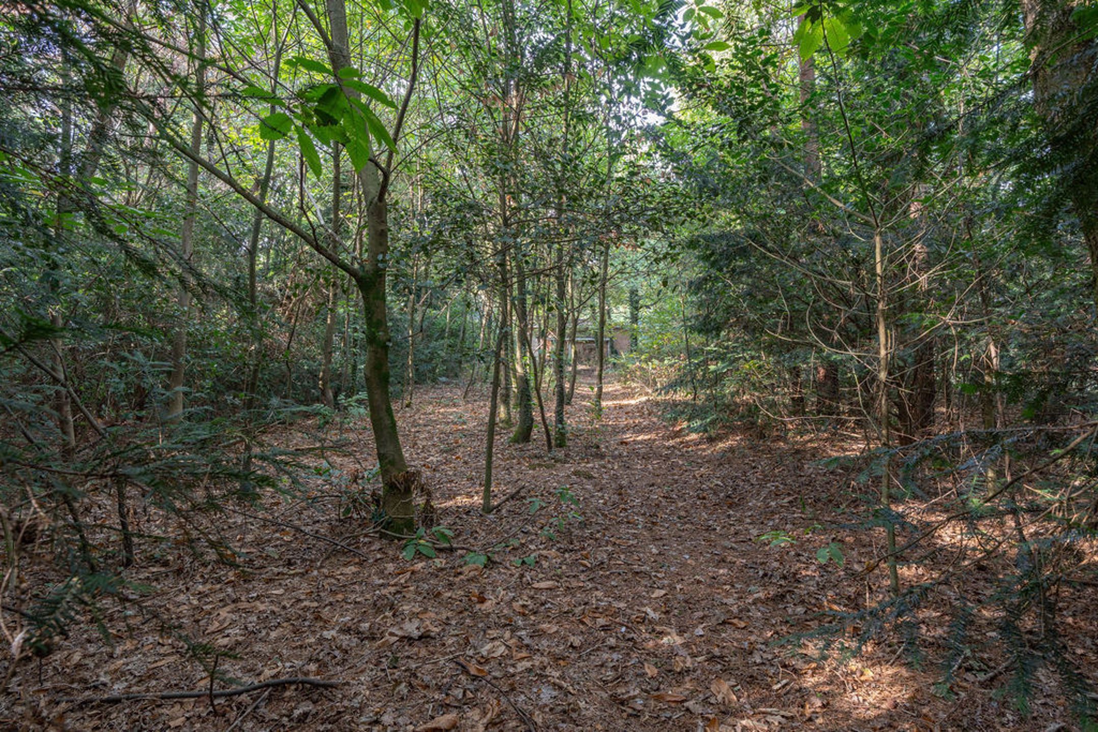 Bouwgrond / grondig te renoveren woning op 6.065m² grond. foto 10