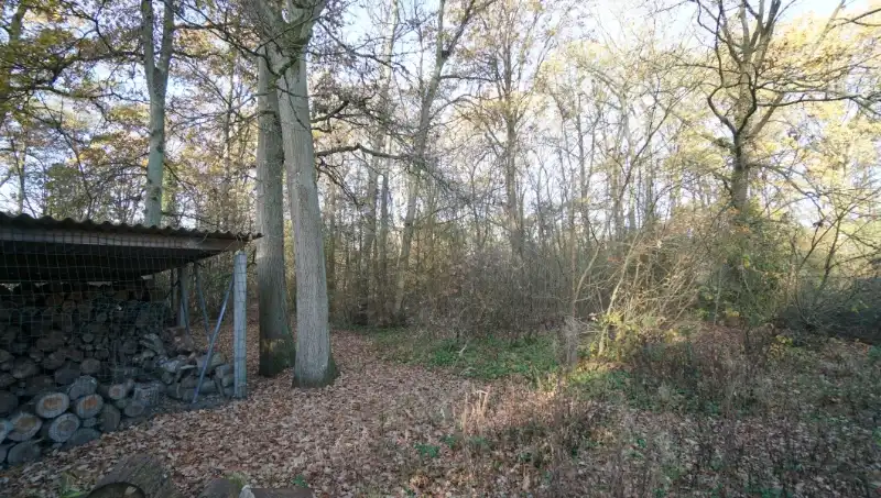 Bouwgrond van 50 are met perceelsbreedte van 30 meter foto 4