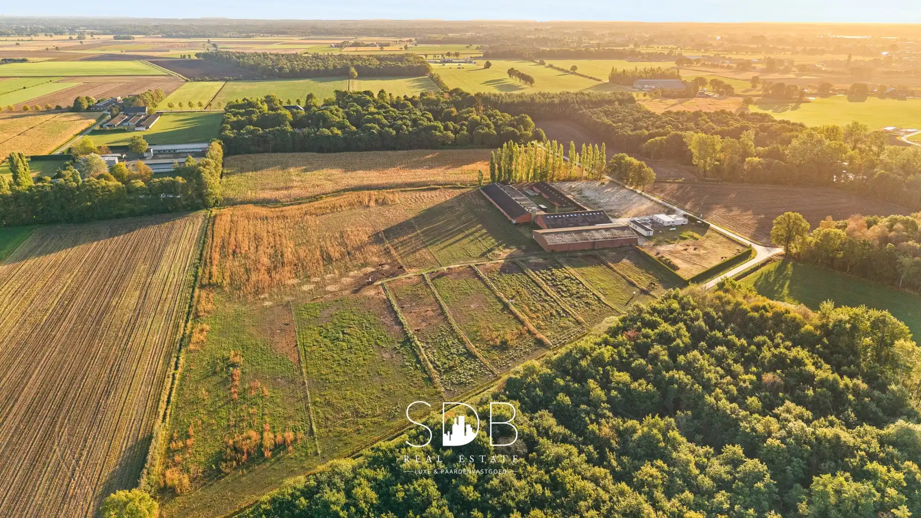 Boerderij met paardenfaciliteiten en graslanden op 14.490m² foto {{pictureIndex}}