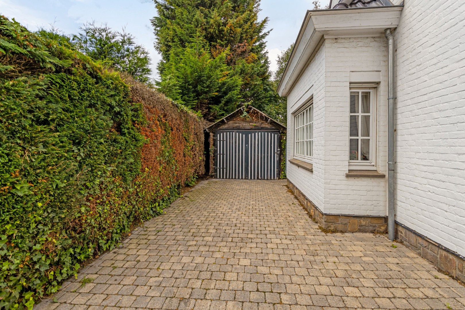 Prachtige villa met drie slaapkamers op 1098 m² foto 4