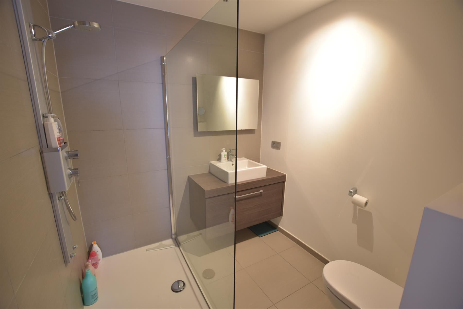 Mooi gemeubeld appartement op een rustige ligging, op wandelafstand van de Lippenslaan foto 8