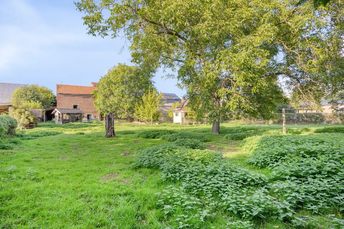 RUSTIG GELEGEN HOEVEWONING MET 3 SLK EN BIJHORENDE STALLINGEN OP 29A83CA TE RIEMST. foto 2