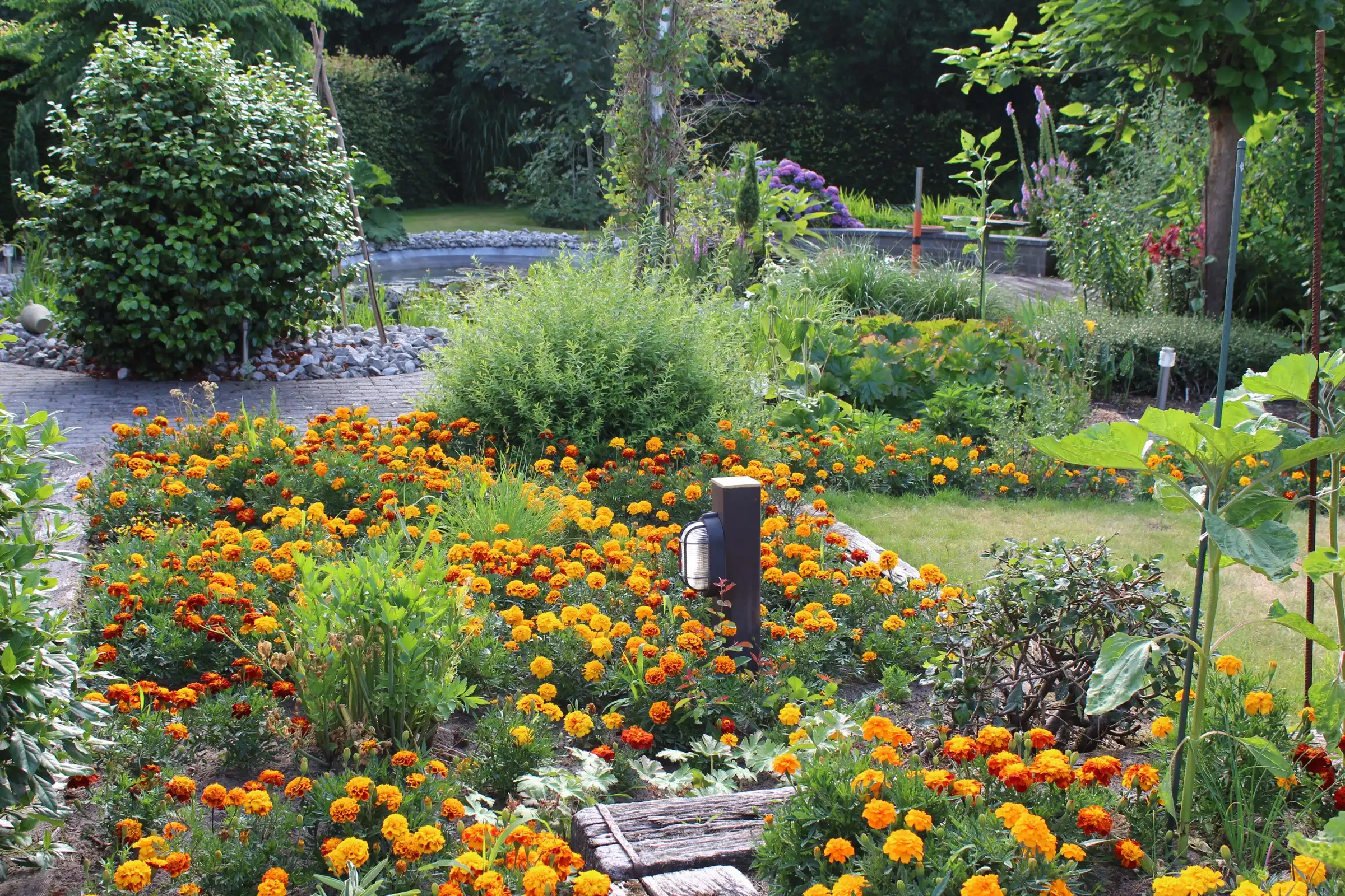 Exclusief wonen in een oase van rust ! foto 4