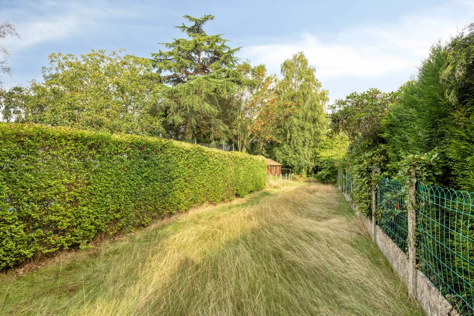 Te renoveren rijwoning met ruim perceel van 445 m²  foto 15