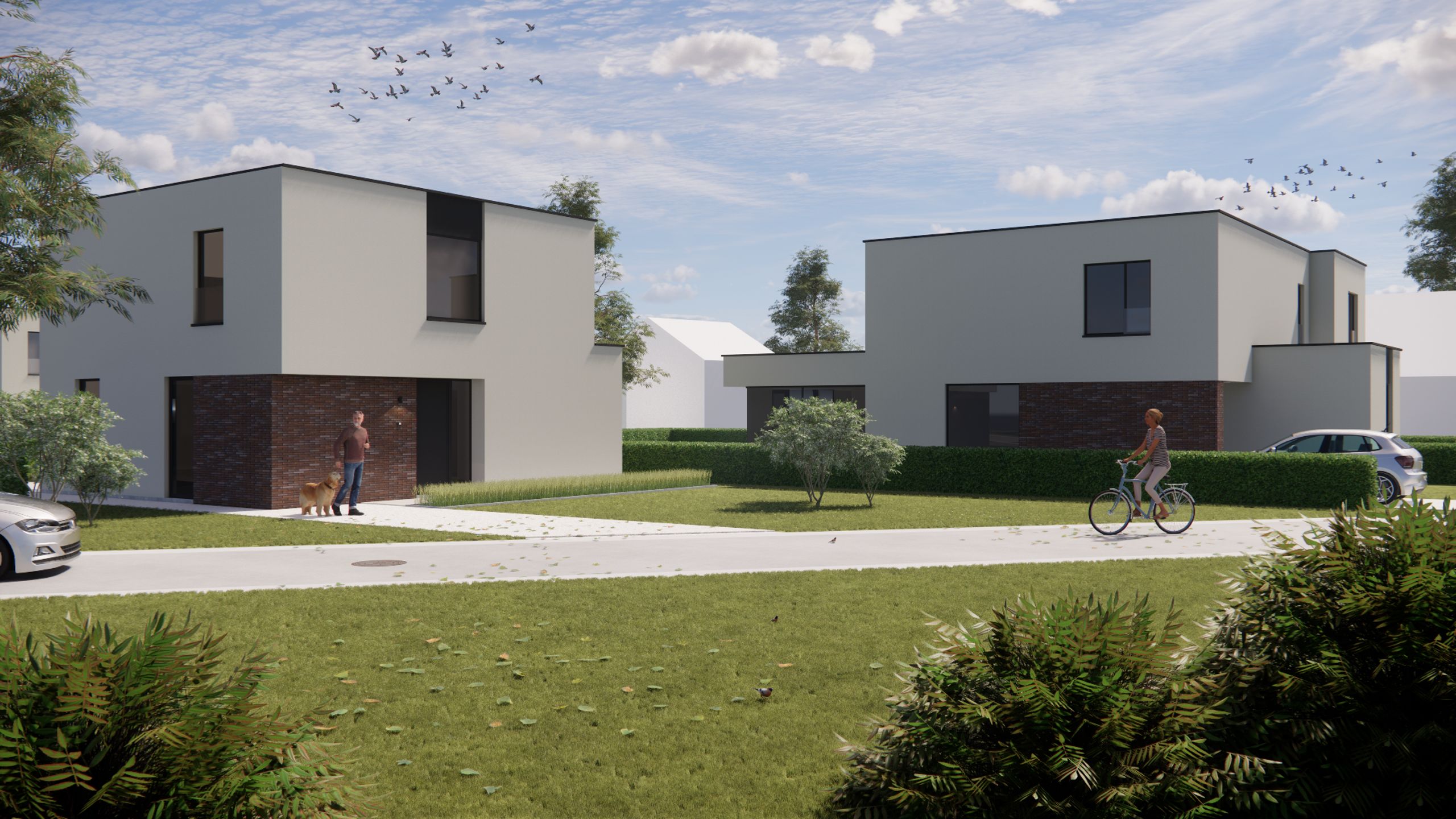 Moderne energiezuinige woningen te Machelen-aan-de-Leie foto 2