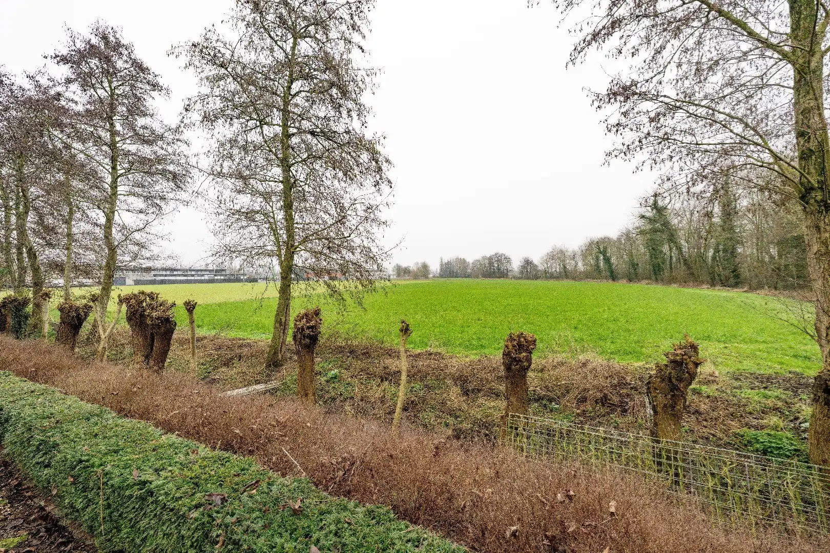 RUIME VILLA MET AGRARISCH ZICHT ÉN RUIMTE VOOR PRAKTIJK/BIJBEROEP! foto 26