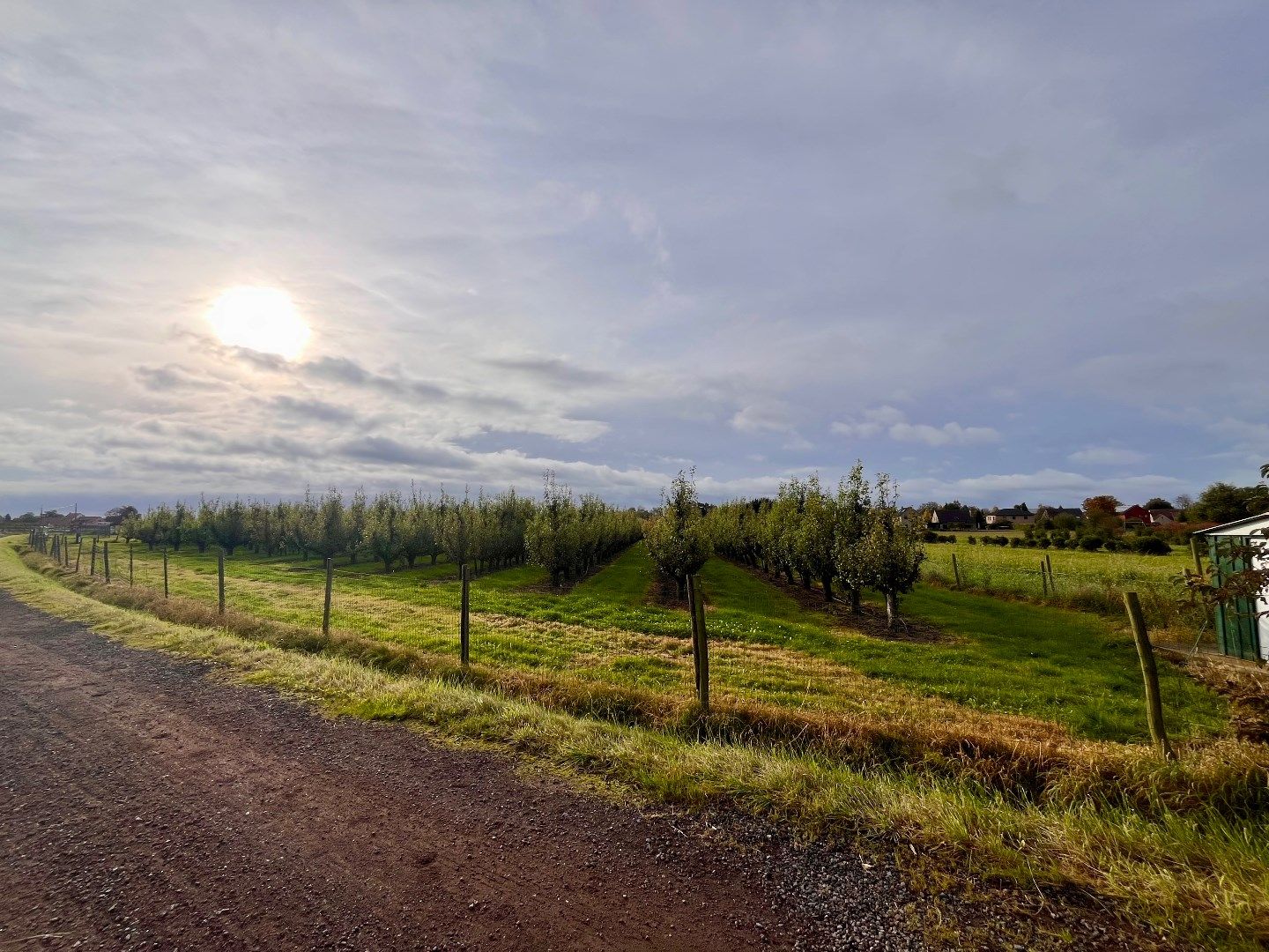 Uniek bouwland van 8945 m² op een uiterst rustige locatie te Vremde! foto {{pictureIndex}}