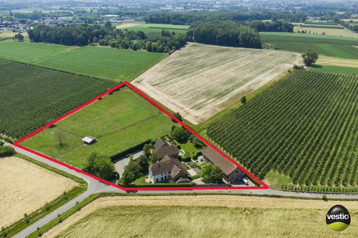 EXCLUSIEVE HOEVE MET MEERDERE WOONGEDEELTES, ATELIER, STALLING en AANPALENDE WEIDE OP CA. 1,6 HECTARE NABIJ DOMEIN NIEUWENHOVEN. foto 2