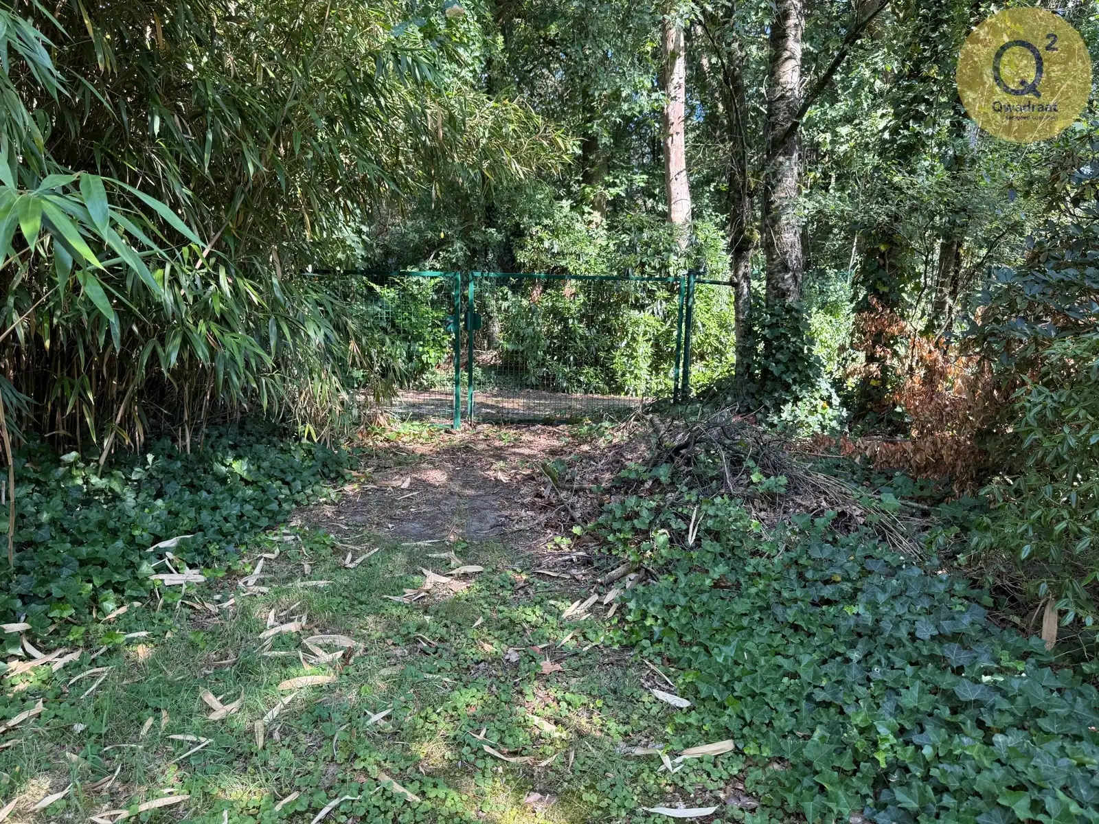 Huis te koop foto 21