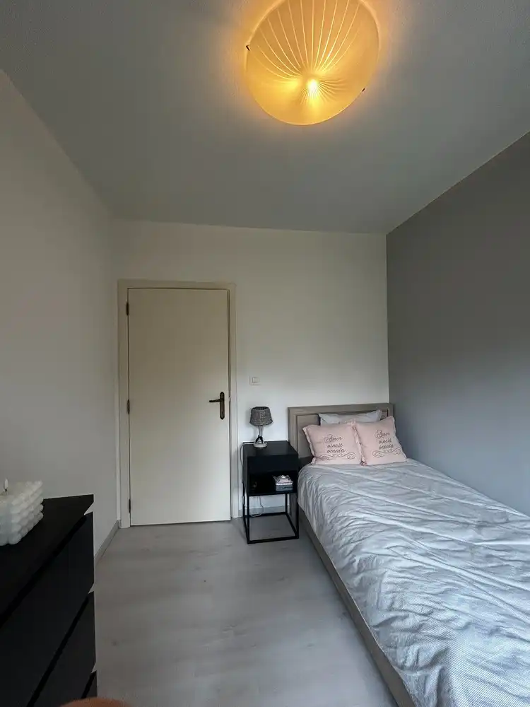 Instapklare gerenoveerde woning op 11a 75ca met prachtige, zuidgerichte tuin aan natuurgebied De Maten in Genk. foto 18