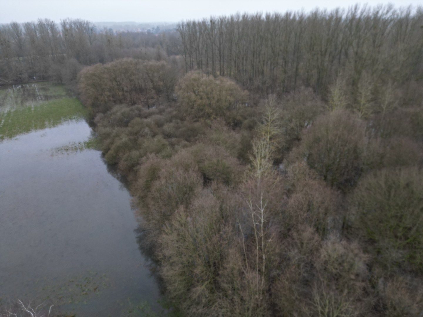Twee percelen bosgrond in natuurgebied. foto 2