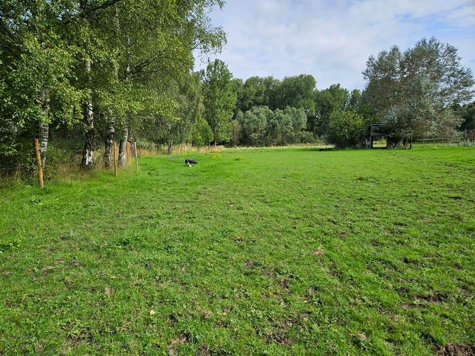 Weiland met paardenstallen op een opp. van 1,43ha foto 9