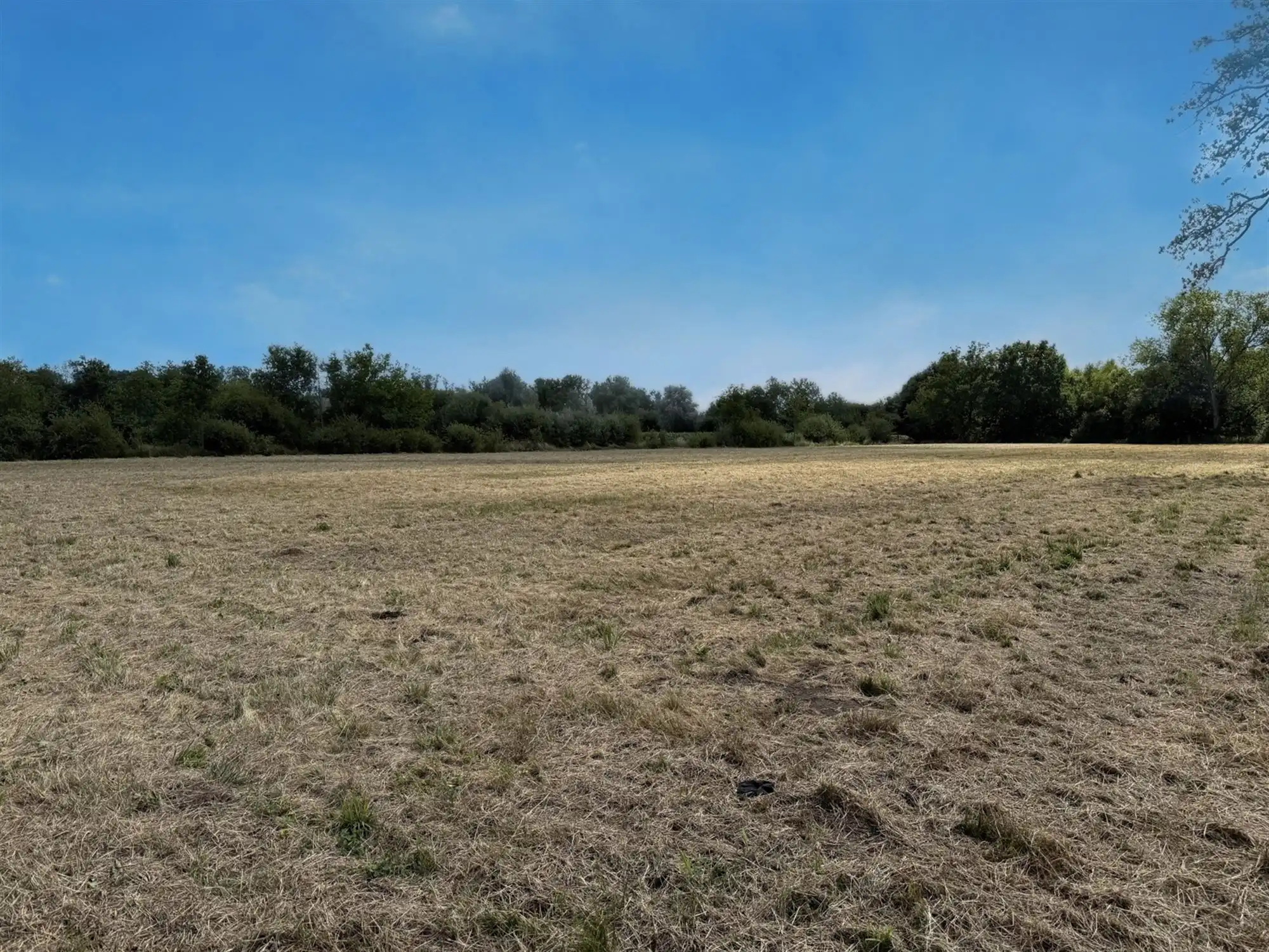 Landbouwgrond te koop in Schriek! foto {{pictureIndex}}