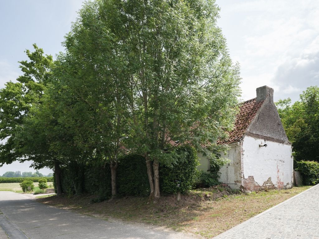 Dikkelvenne – Terrein van 2.179 m² met op heden nog een te renoveren hoeve, omgeven door groen en weides. foto 28