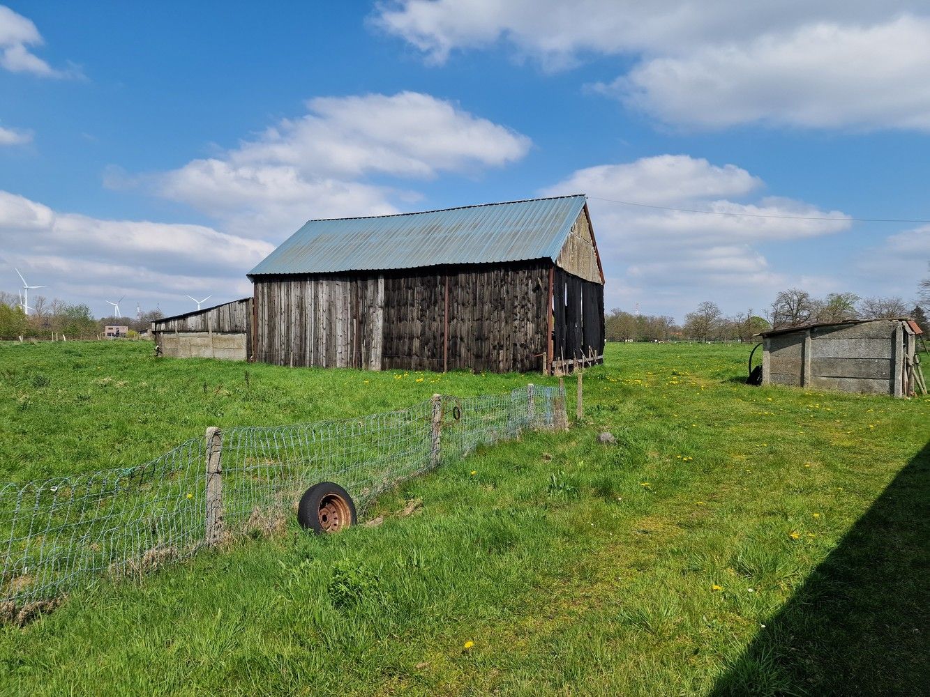 Hoeve Op de hoef foto 10