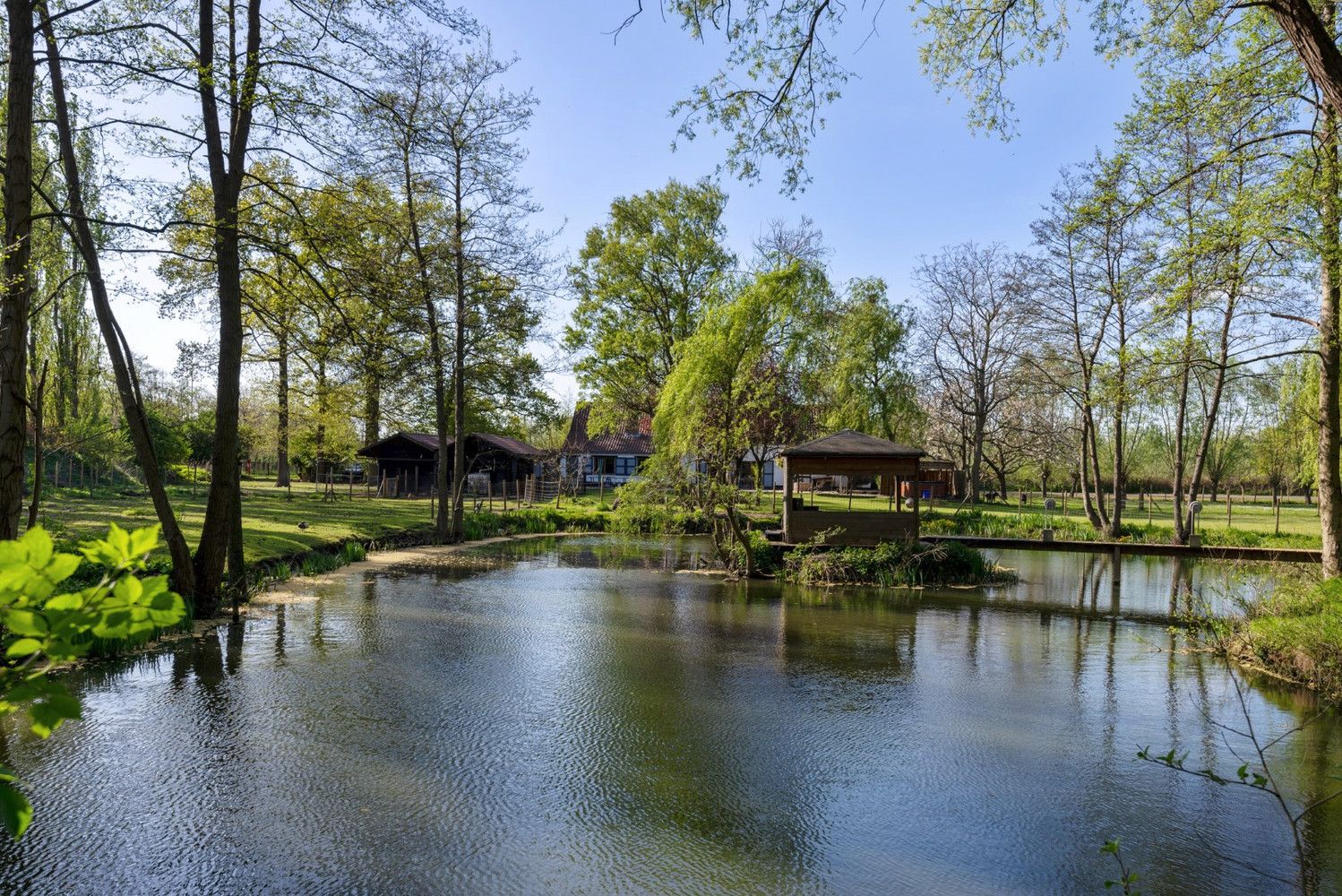 CHARMANTE HOEVE OP PERCEEL VAN 5.808 m²! foto 24