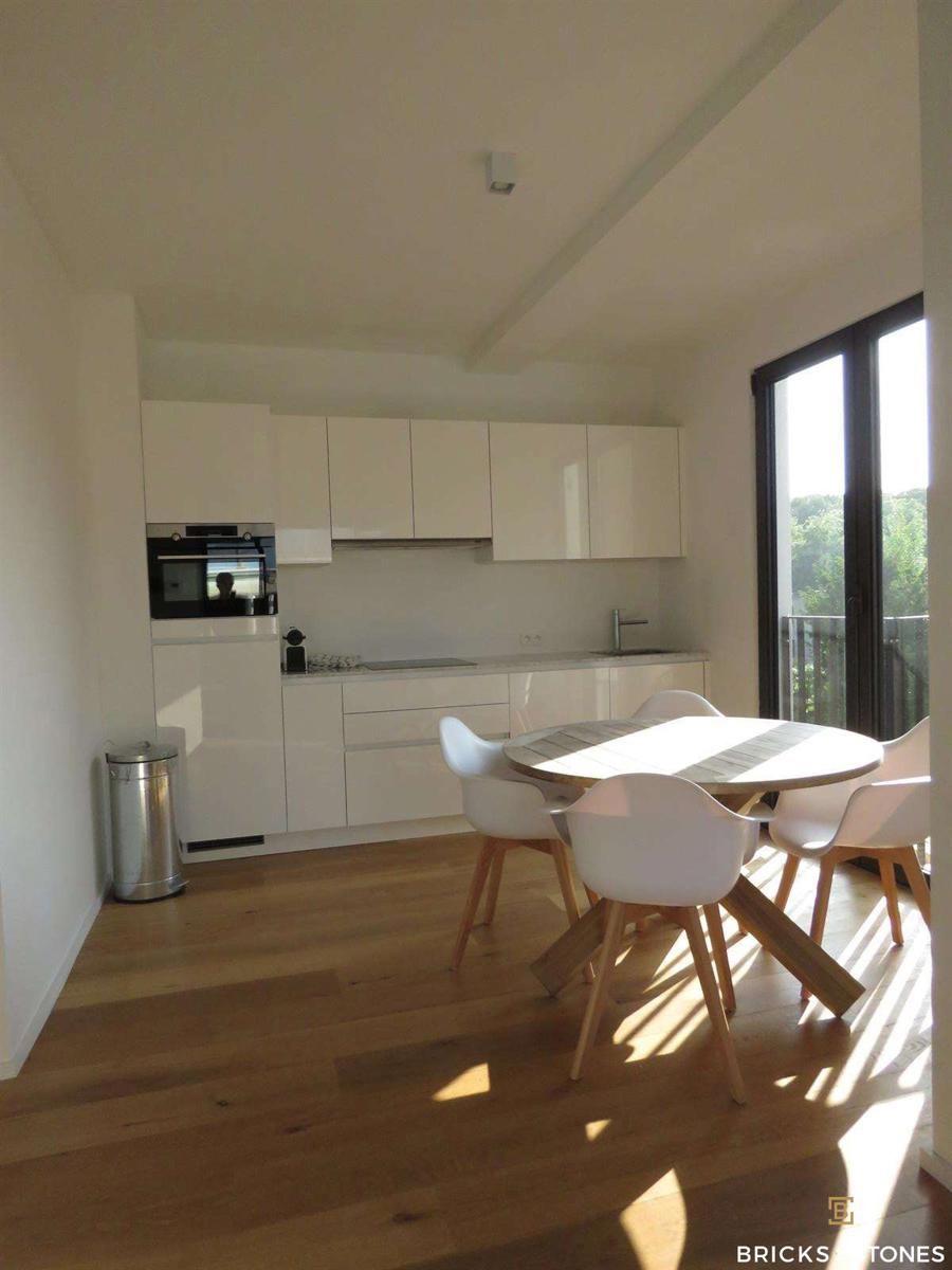 Gerenoveerd 1-slaapkamer appartement met terras nabij Nachtegalenpark foto 4