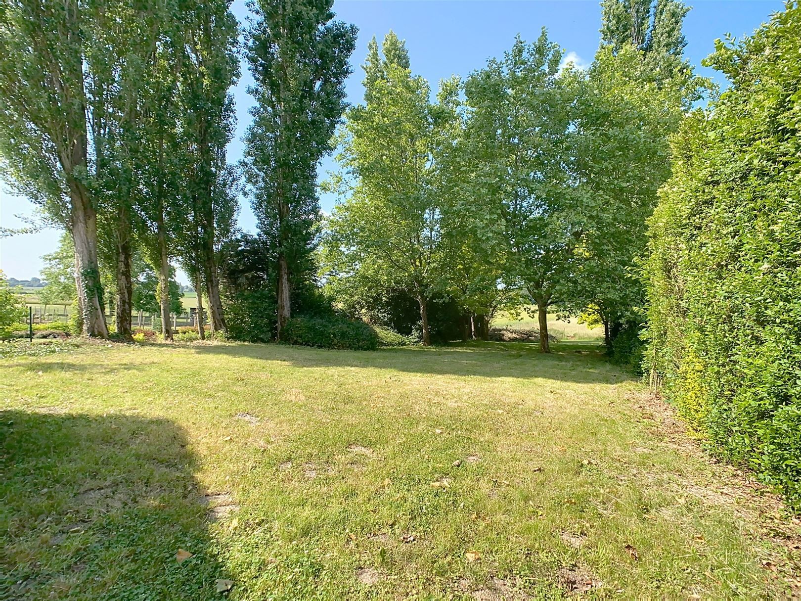 Ruime woning, 4 slpks, terras, tuin, weide, 46a 81ca foto 37