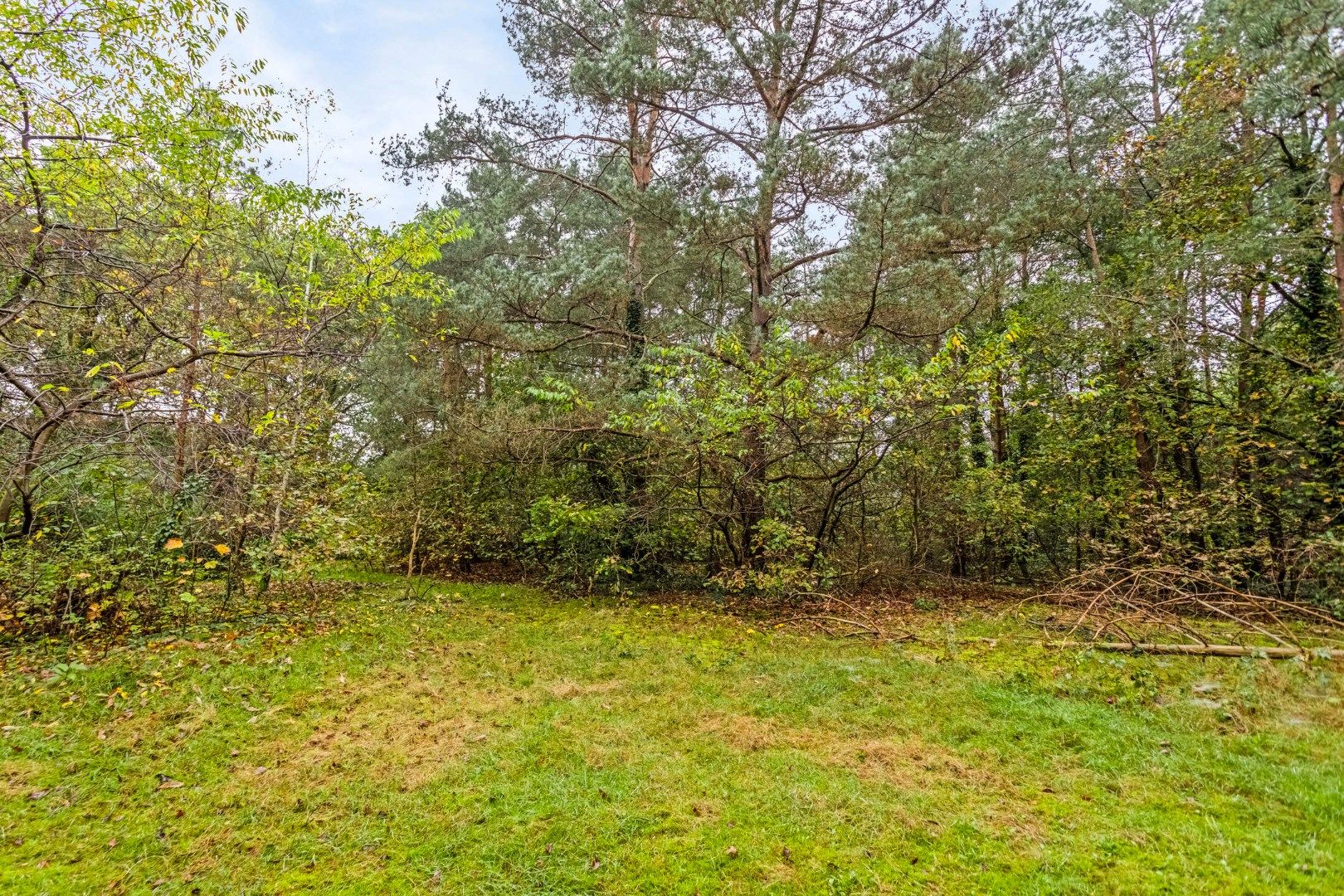 Dubbele woonst rustig en groen gelegen op een perceel van ca 24a !  foto 27