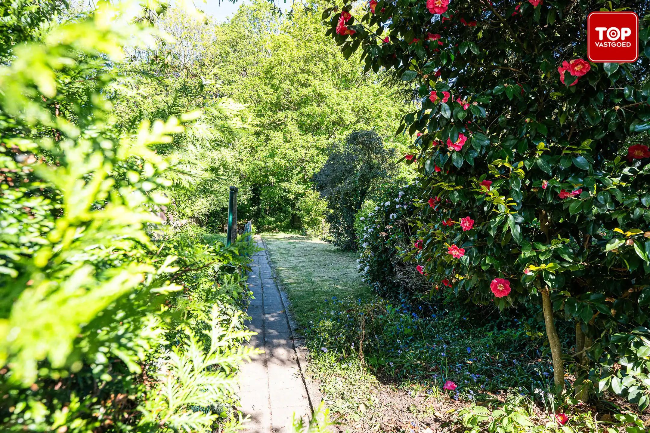 Woning met 3 slaapkamers en tuin foto 23