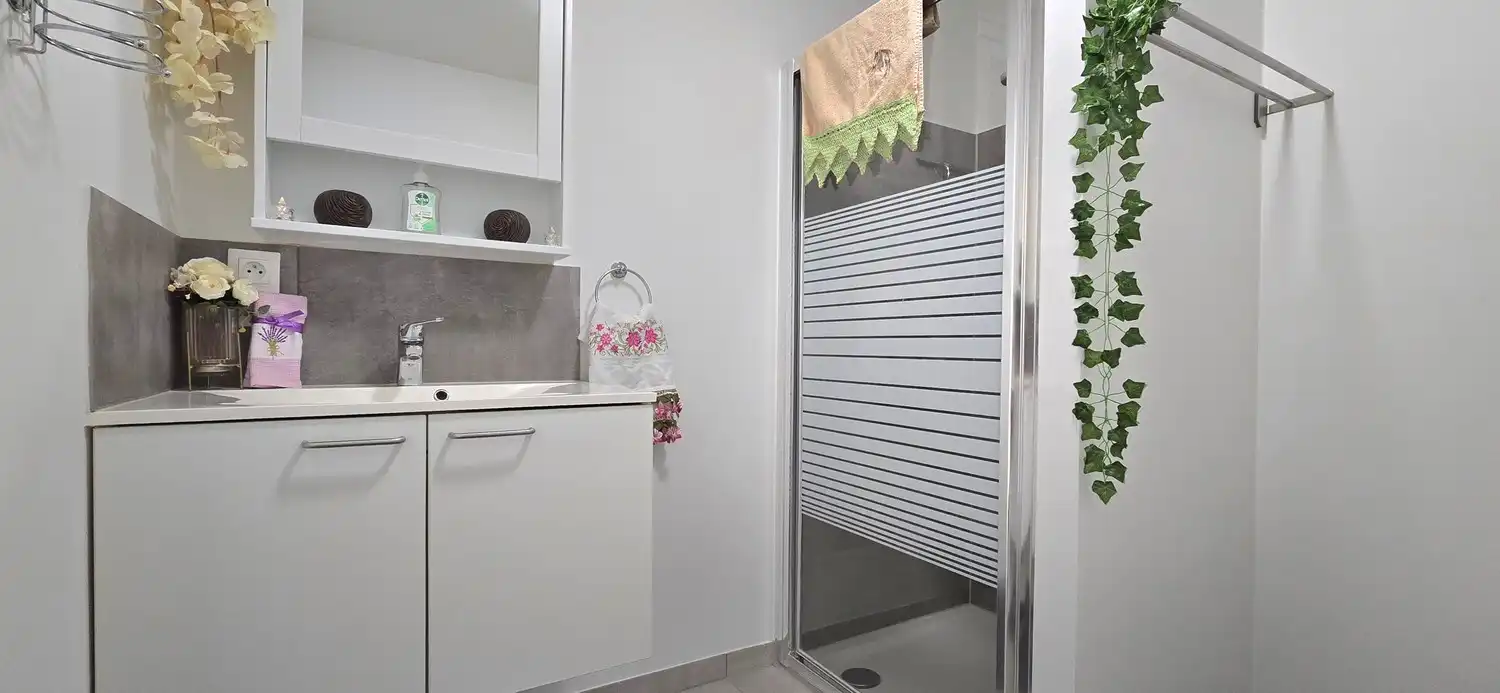 Huis te koop foto 17