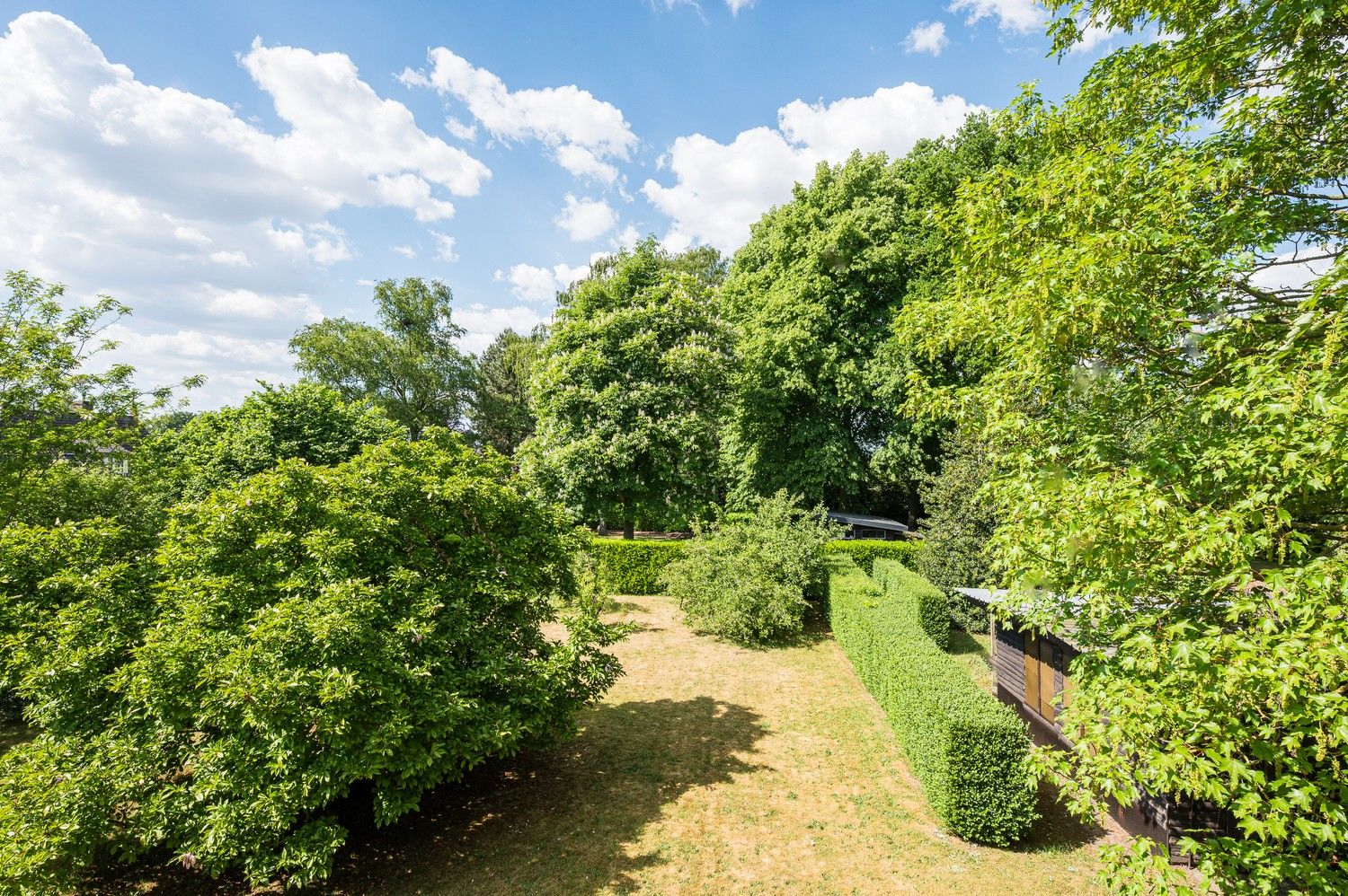 Karaktervolle woning met  riante tuin in Eeklo foto 28