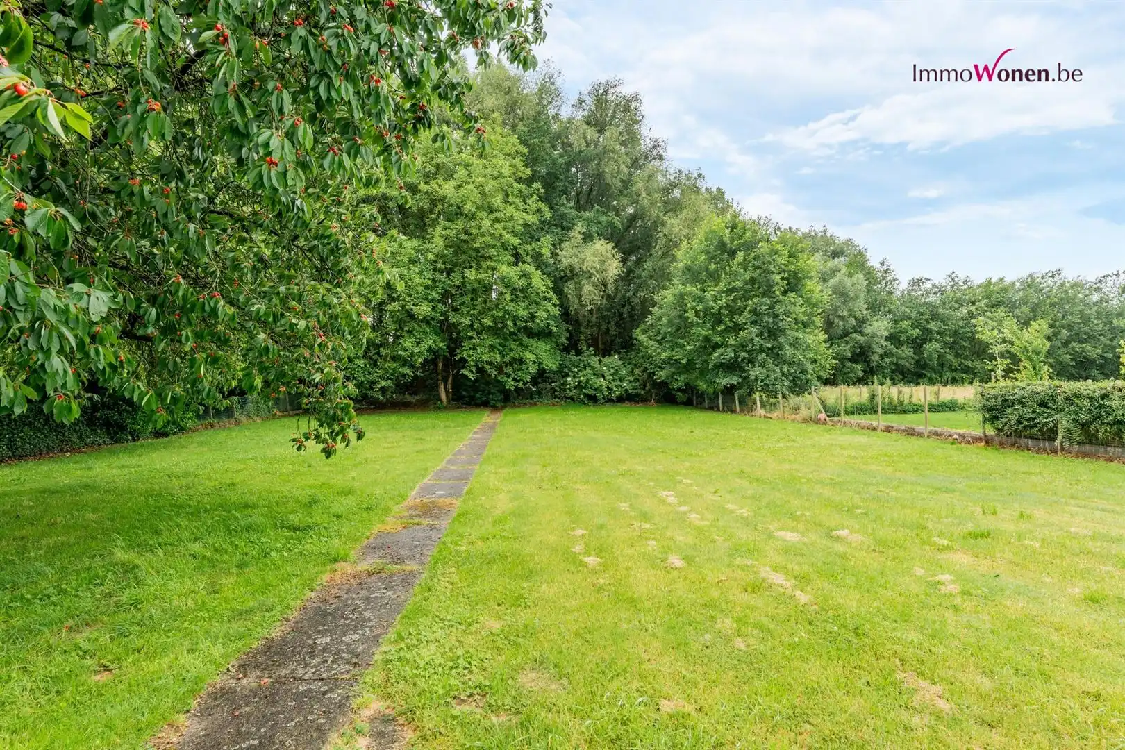 Te renoveren Woning op groen breed perceel bij ImmoWonen foto 3