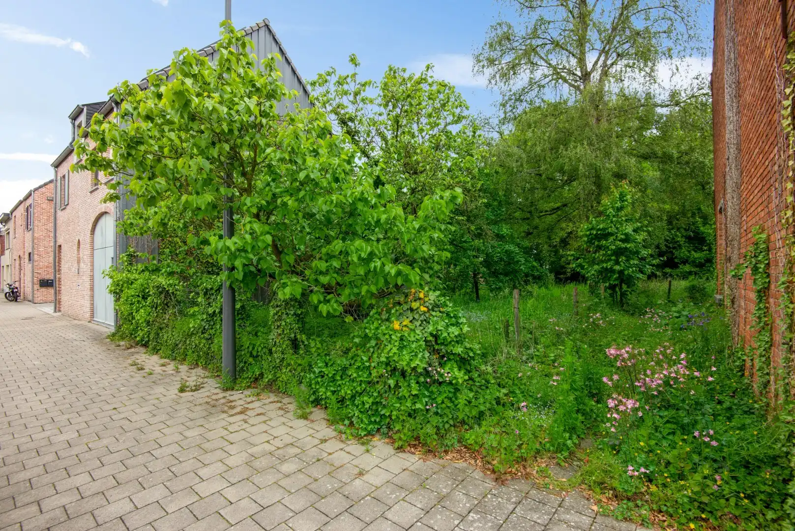Te renoveren woning met bouwgrond en veel potentieel op rustige ligging in Puurs-Sint-Amands! foto 5