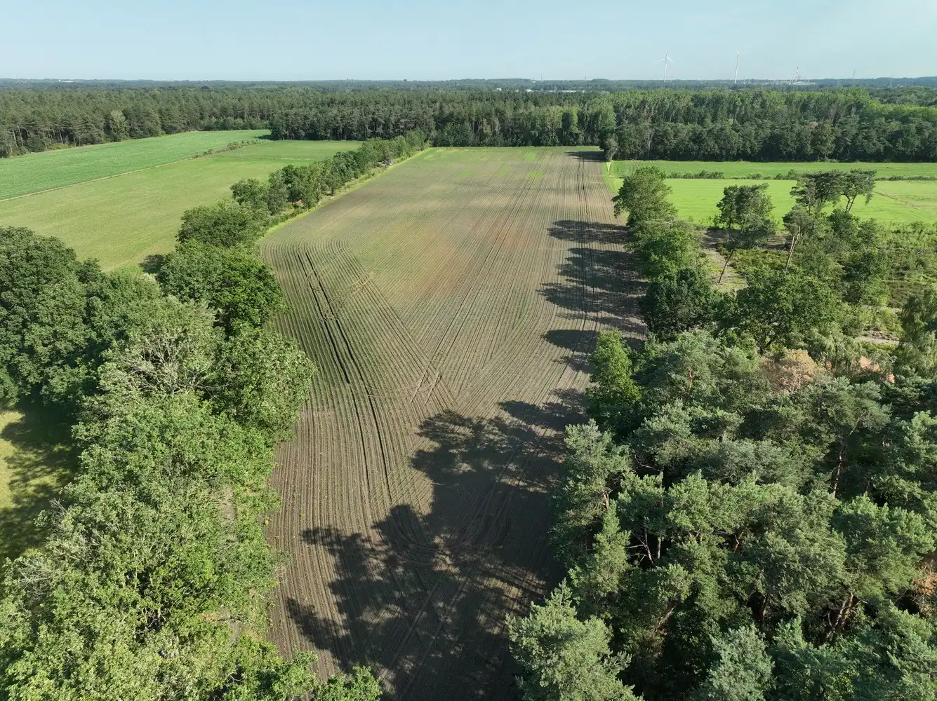 Landbouwgrond: 4ha 84a 60ca foto 3