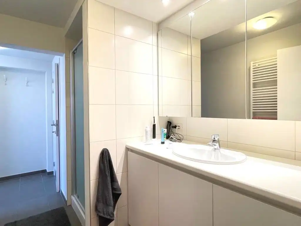 Instapklaar éénslaapkamer appartement op wandelafstand van het Sint-Pietersstation en met zicht op het Citadelpark. foto 7