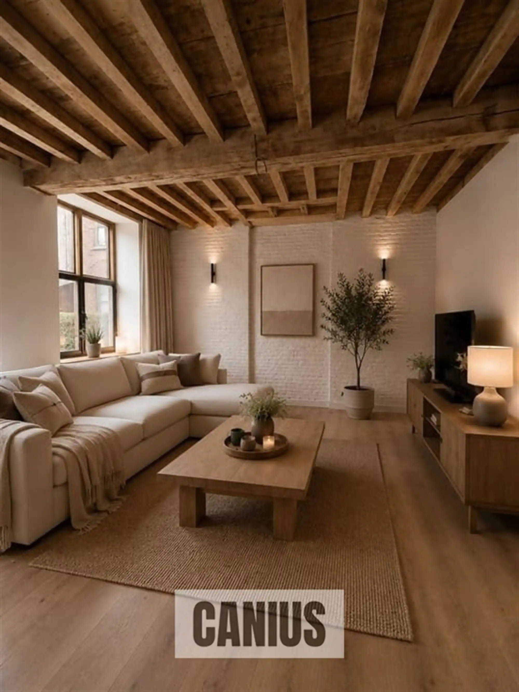 STATIGE WONING MET 3 SLKS EN TERRAS  foto 8